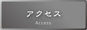 アクセス Access