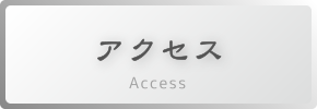 アクセス Access